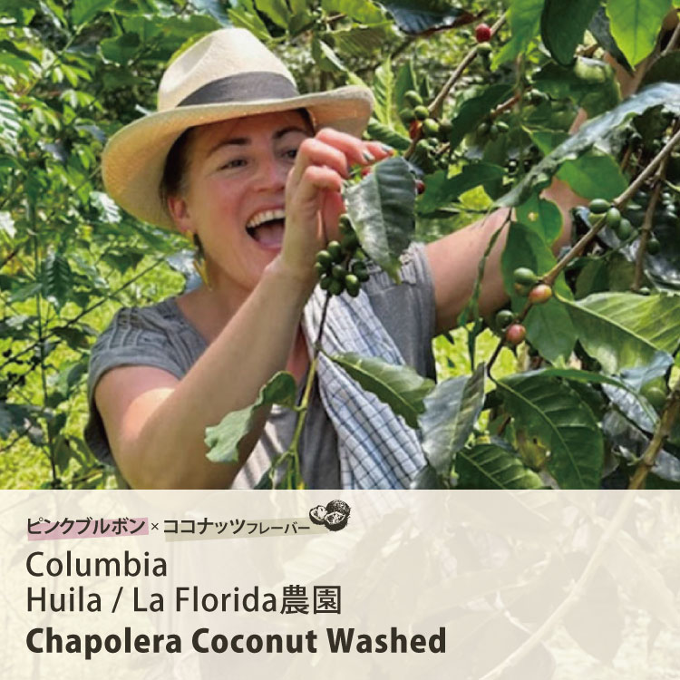 コロンビア　Huila / La Florida農園 チャポレラ ココナッツ ウォッシュト　Chapolera Coconut Washed