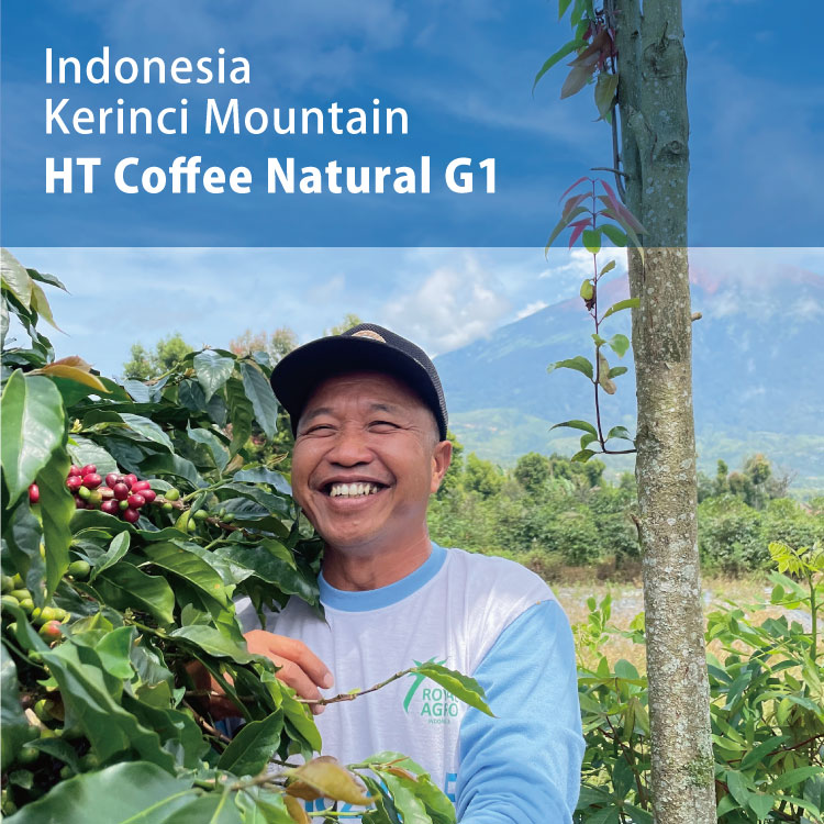 インドネシア　クリンチマウンテン　ハテコーヒー