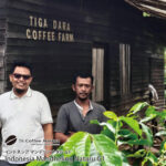 インドネシア　マンデリン　ナタル　G1