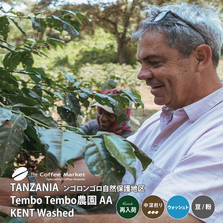 タンザニア　テンボテンボ農園　AA　ケント　ウォッシュト